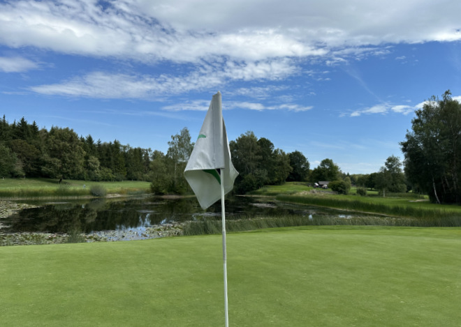 Viele spielen die Golffahne auf dem Grün an, wie man den Bereich zum Putten bezeichnet. Für das Grün selbst gibt es nur einen Golfschläger, welcher Putter genannt wird.