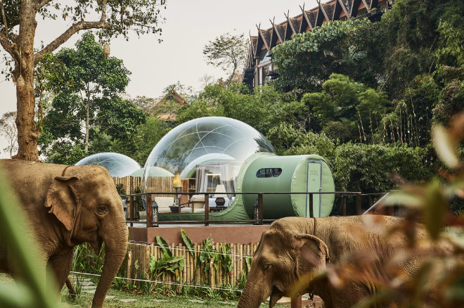 Schlafkonzepte als Reisetrend: Anantara Golden Triangle Elephant Camp & Resort - Jungle Bubbles